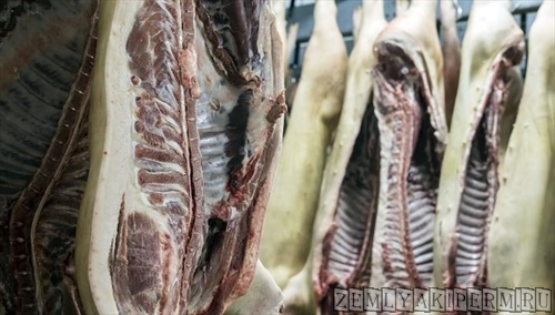 Менеджер оптовой компании в Хабаровске украл мяса на полмиллиона рублей